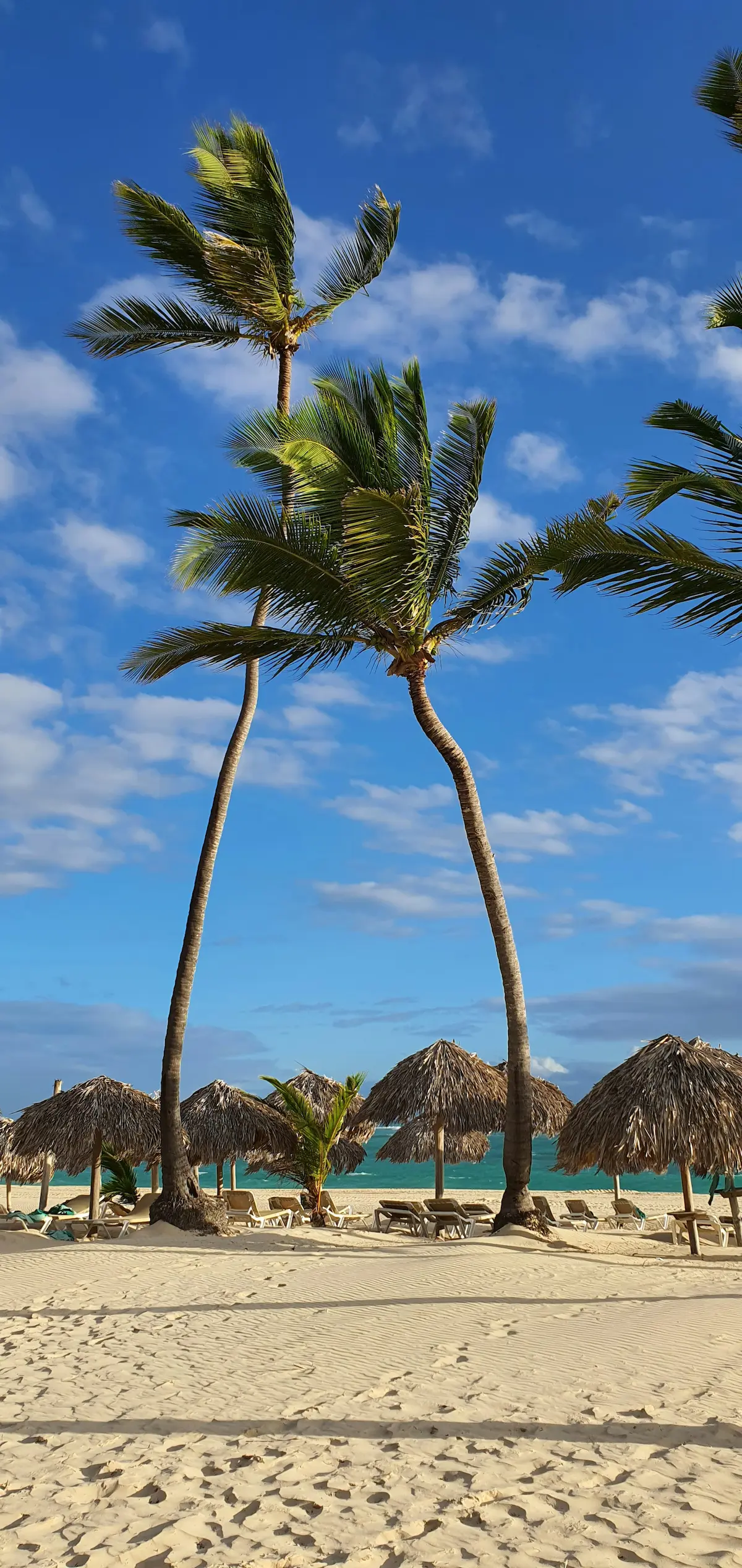 Enviar dinero a Punta Cana, República Dominicana