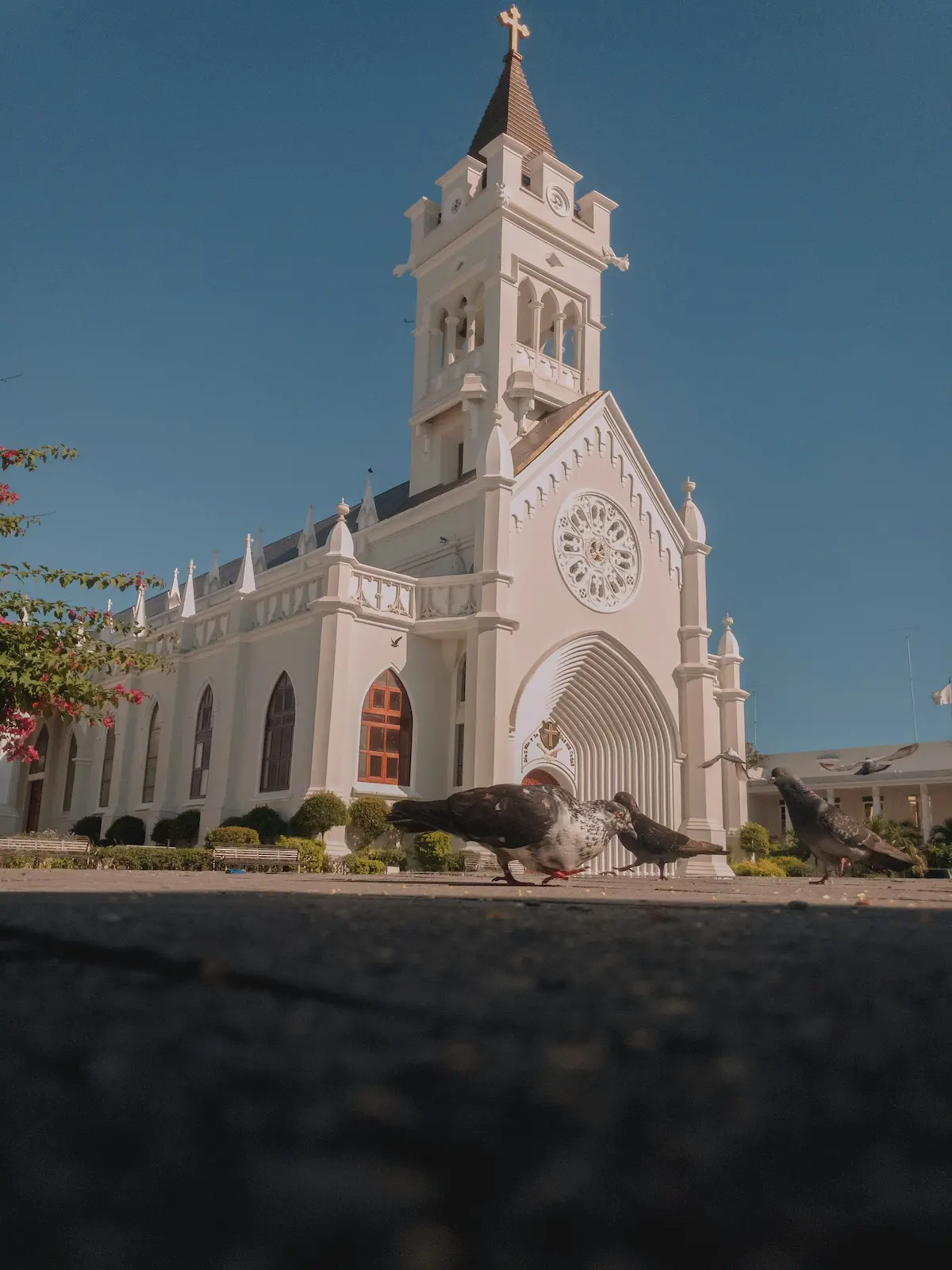 Enviar dinero a San Pedro de Macorís, República Dominicana